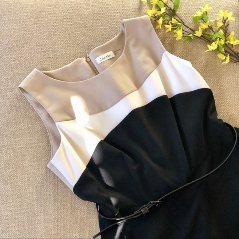 Fit and Flare Belted Calvin Klein Dress